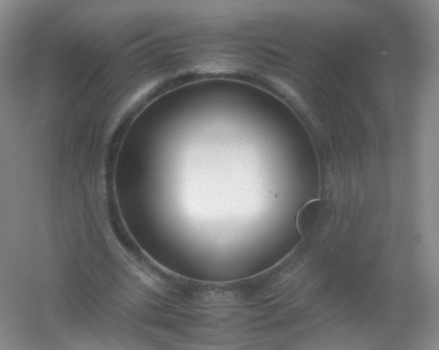 X0000054450535200508121913