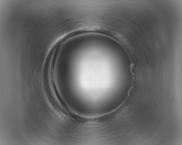 X0000054450536200508121913