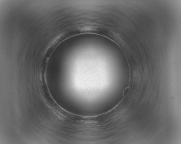 X0000054450539200508121913
