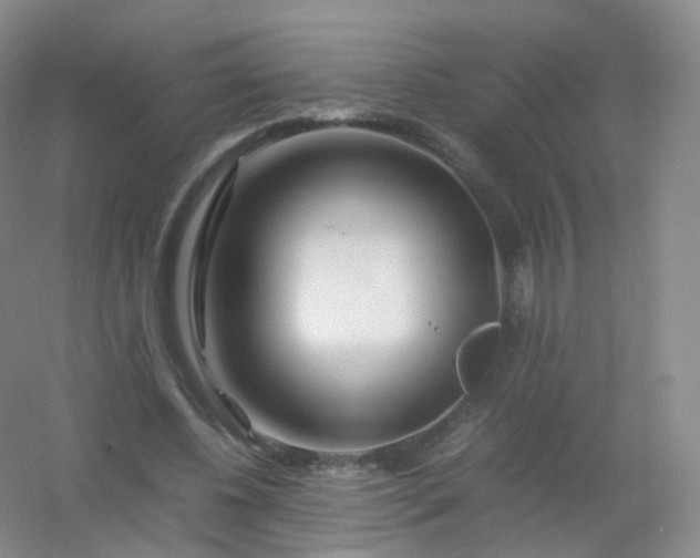 X0000054450540200508121913