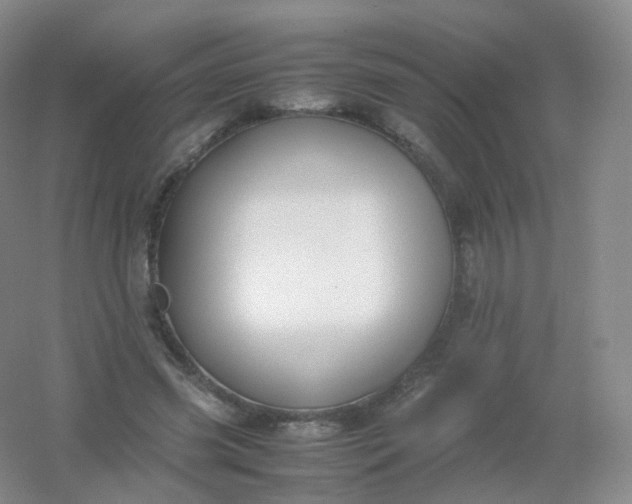 X0000054450541200508121913
