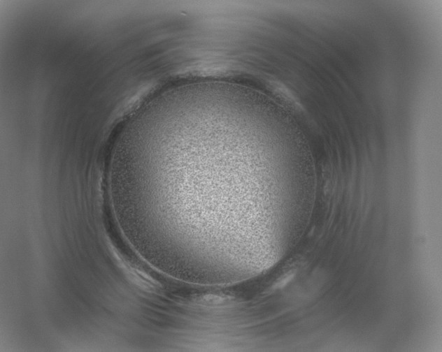 X0000054450542200508121913