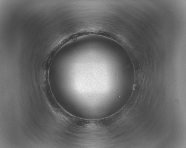 X0000054450544200508121913