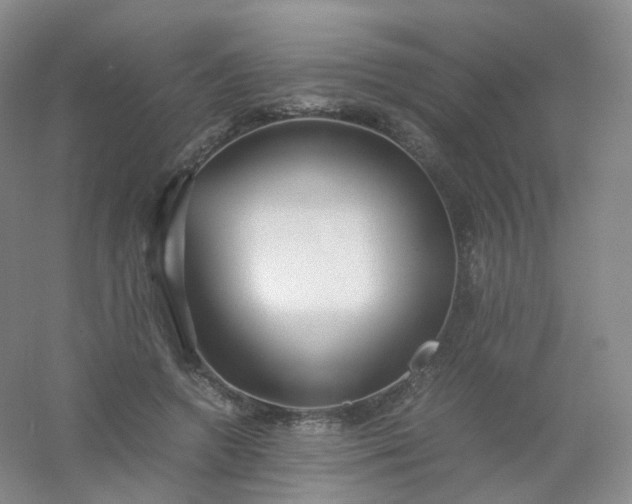 X0000054450546200508121913