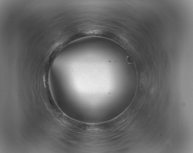 X0000054450547200508121913