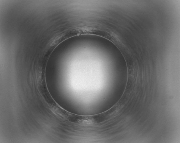 X0000054450548200508121913