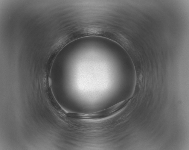 X0000054450552200508121914