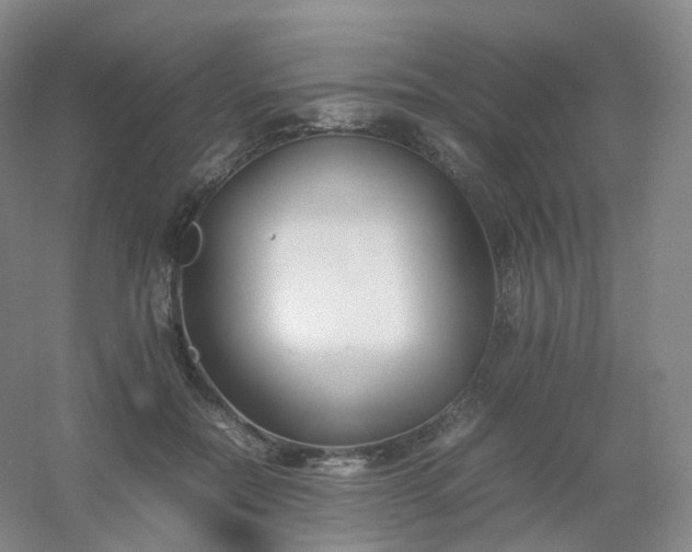 X0000054450554200508121914
