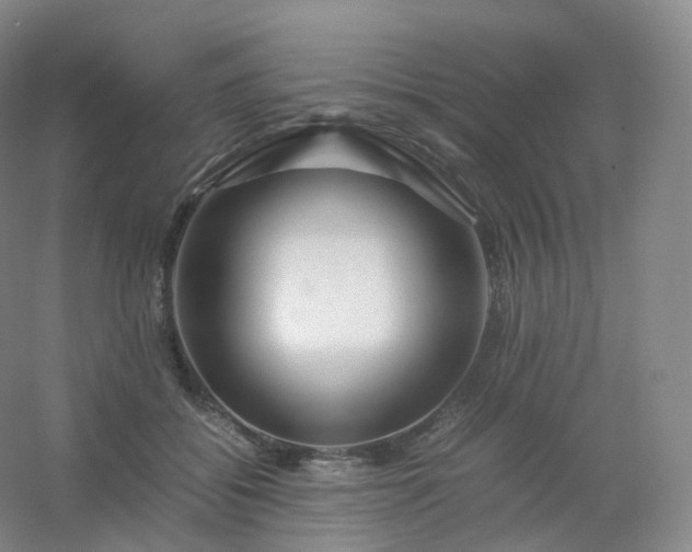 X0000054450556200508121914