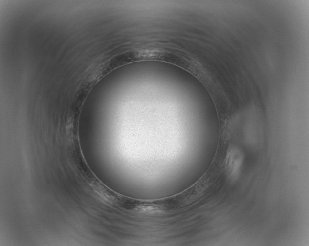 X0000054450557200508121914