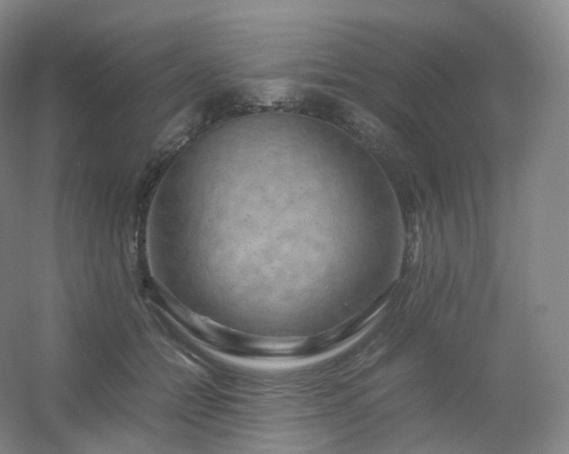 X0000054450558200508121914