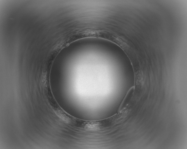 X0000054450560200508121914