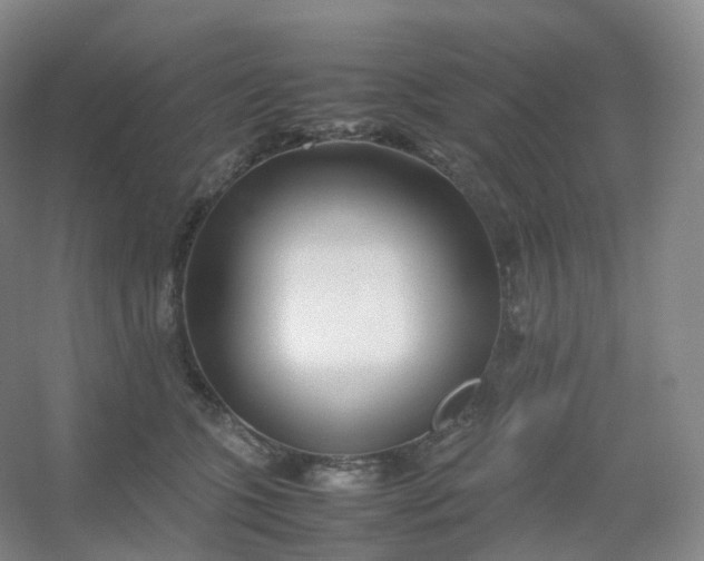 X0000054450563200508121914