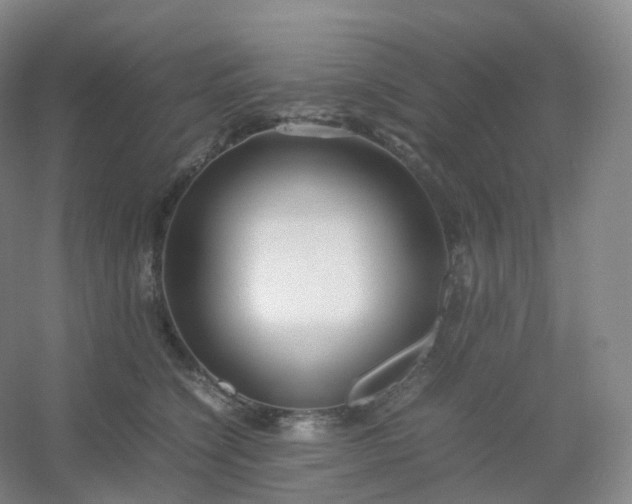 X0000054450564200508121914