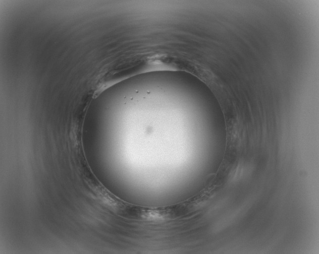 X0000054450565200508121914