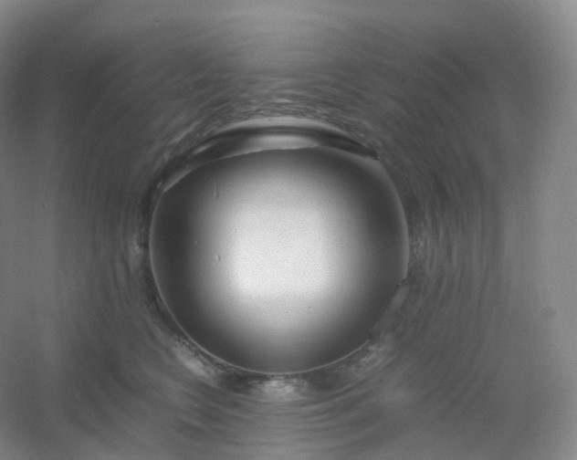 X0000054450566200508121914
