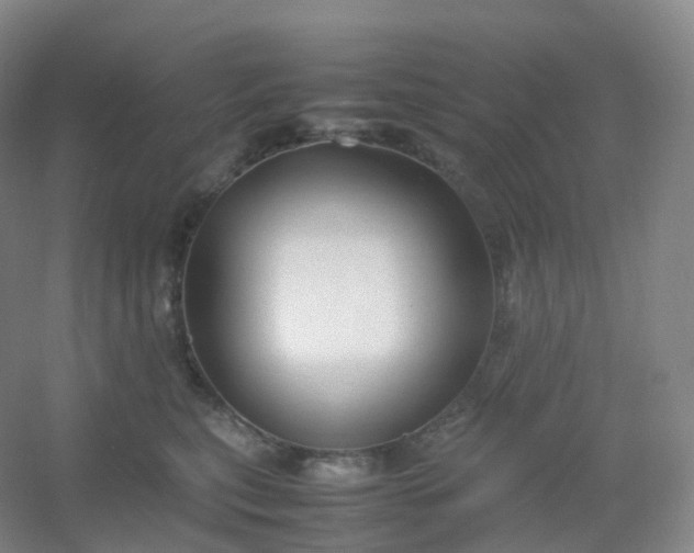 X0000054450567200508121914