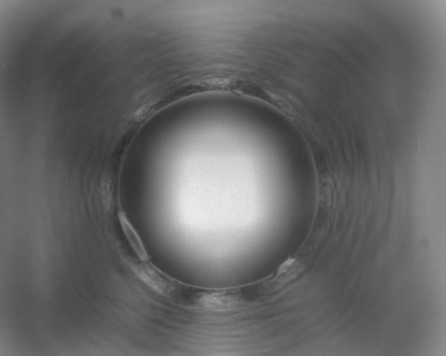 X0000054450568200508121914