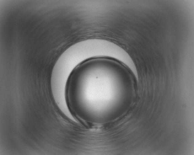 X0000054450570200508121914