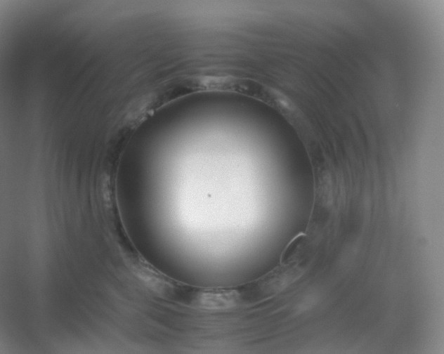 X0000054450571200508121914