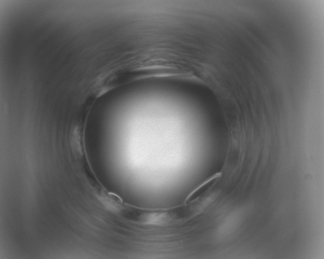 X0000054450575200508121914