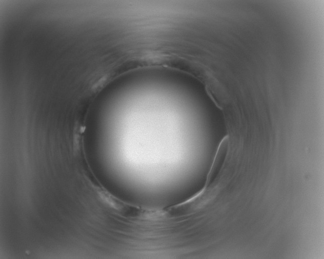 X0000054450576200508121914