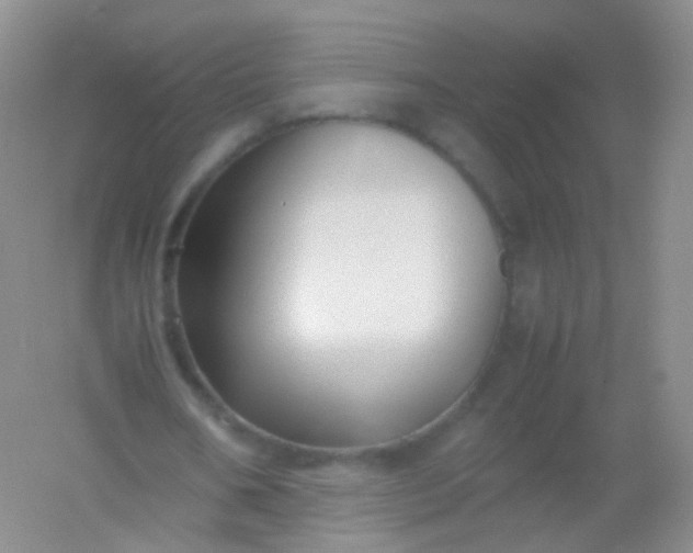 X0000054450578200508121913