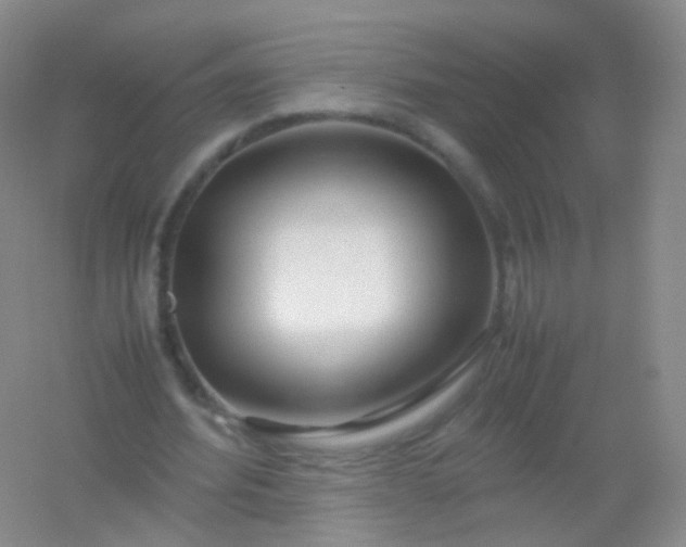 X0000054450580200508121913