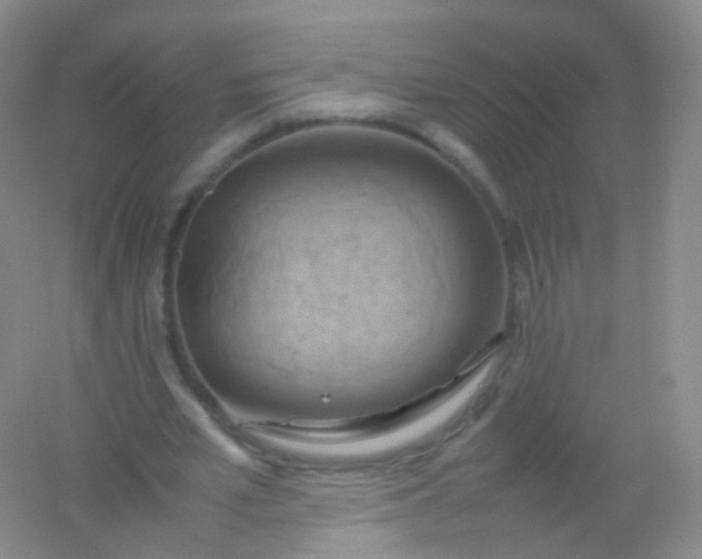 X0000054450581200508121913