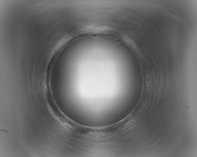 X0000054450582200508121913