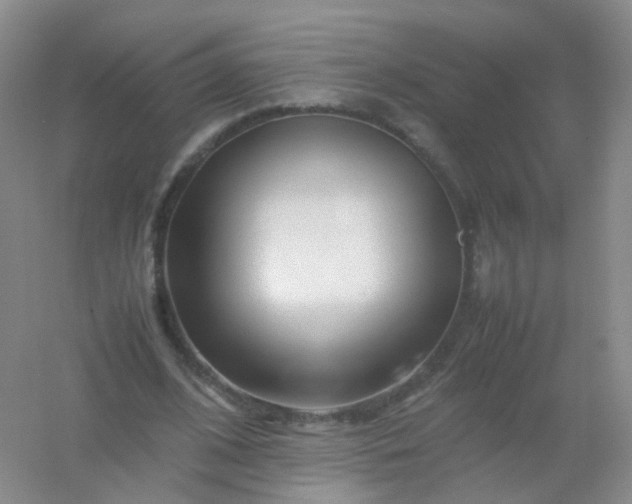 X0000054450584200508121913