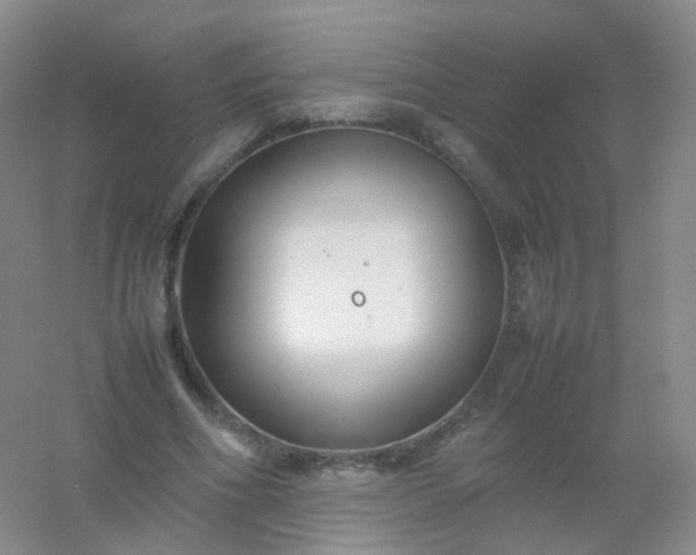 X0000054450586200508121913
