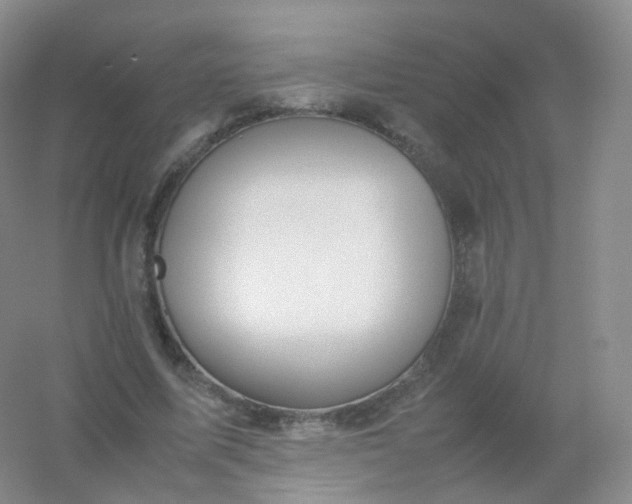 X0000054450587200508121913