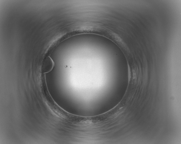 X0000054450588200508121913