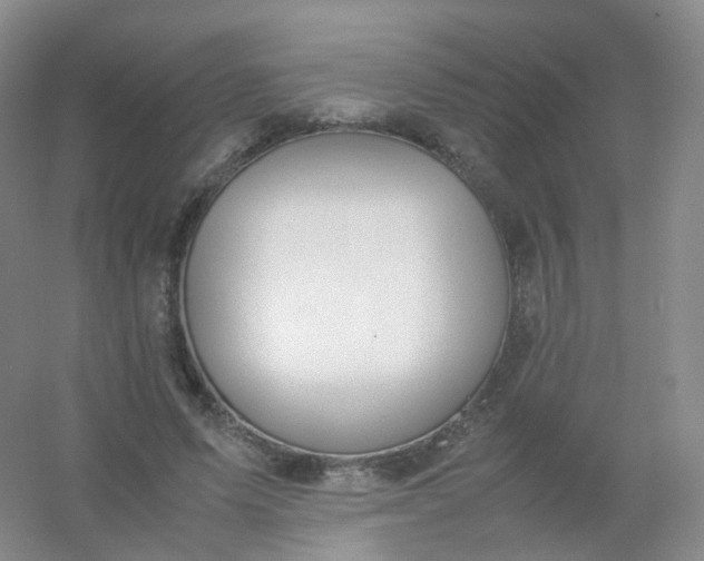 X0000054450591200508121913