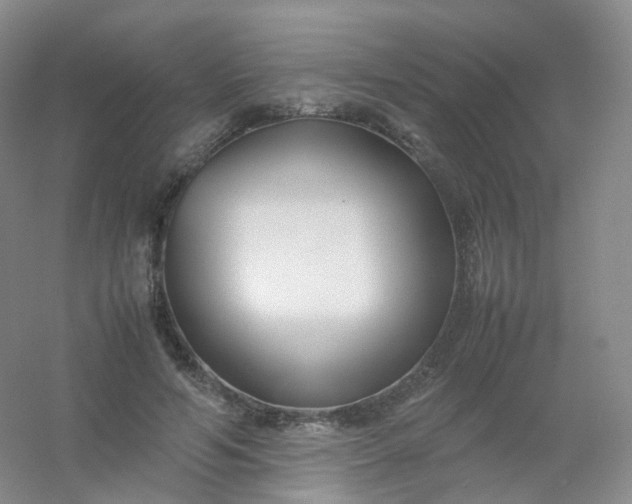 X0000054450594200508121913