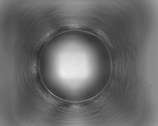 X0000054450596200508121913