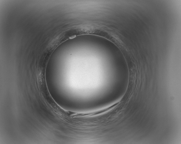 X0000054450597200508121913