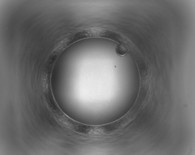 X0000054450599200508121913
