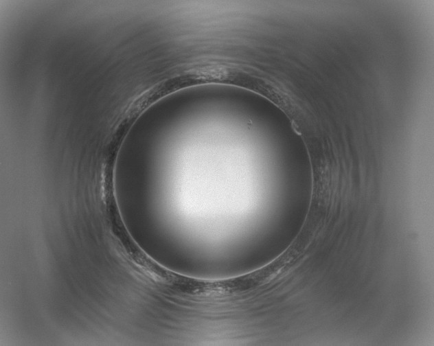 X0000054450600200508121913