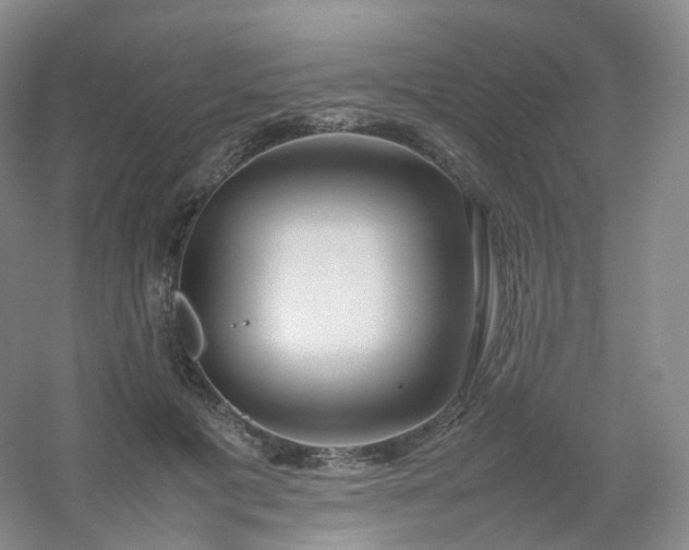X0000054450601200508121913