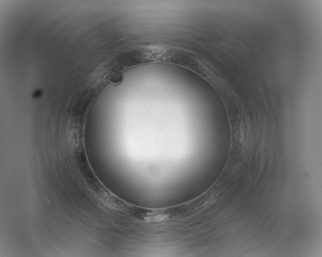 X0000054450602200508121913