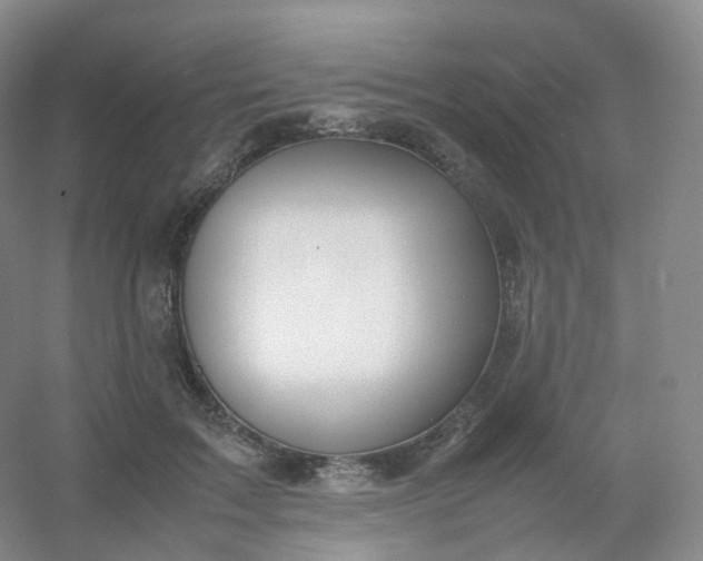 X0000054450603200508121913
