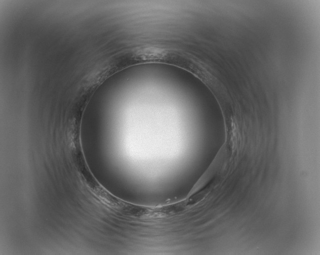 X0000054450604200508121913