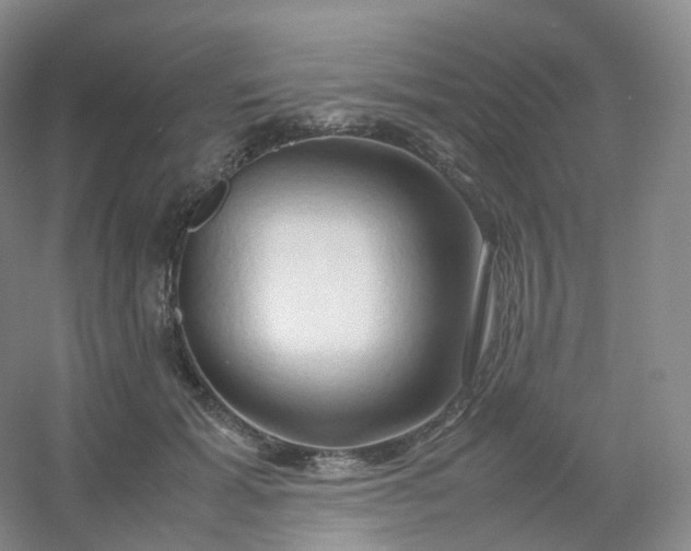 X0000054450605200508121913