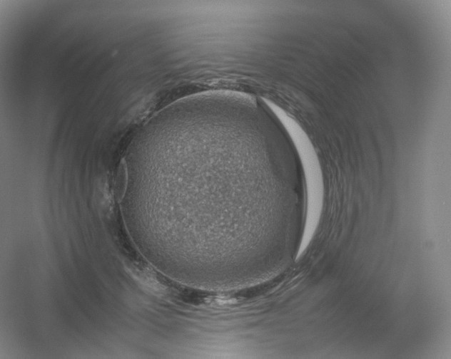 X0000054450607200508121913