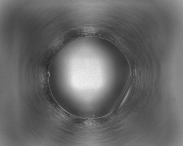 X0000054450608200508121913