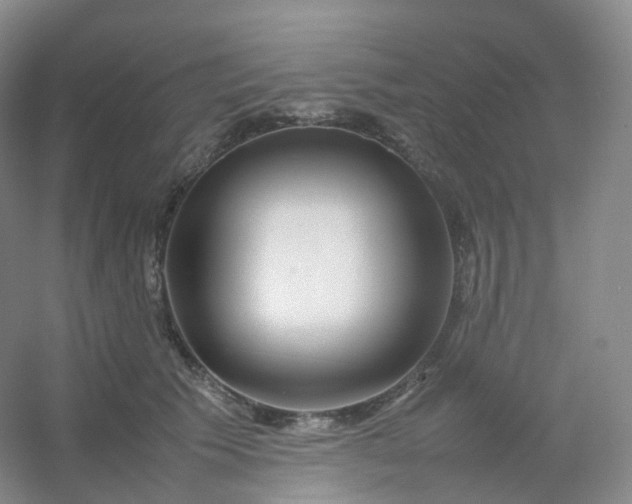 X0000054450609200508121913