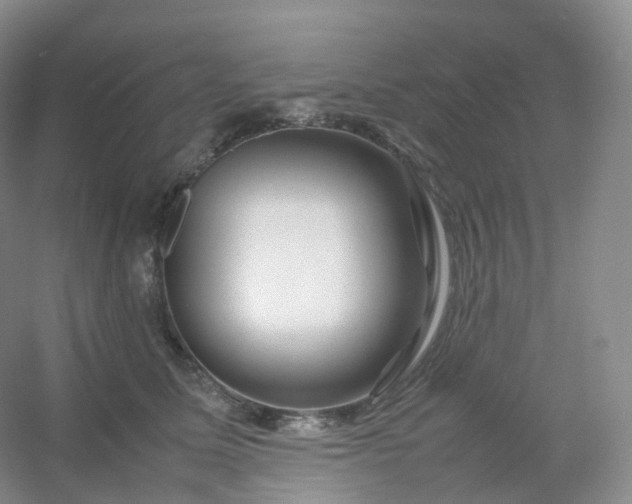 X0000054450611200508121913