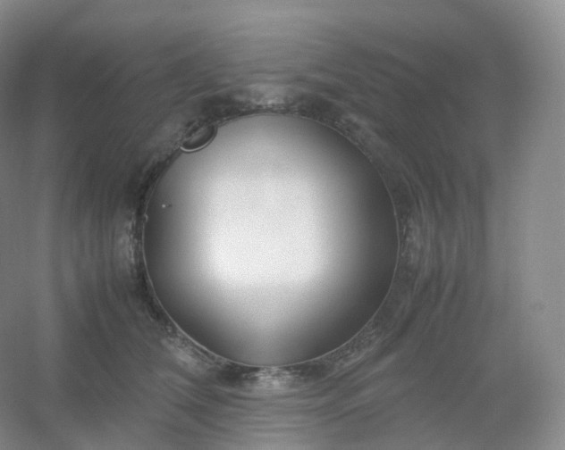 X0000054450612200508121913